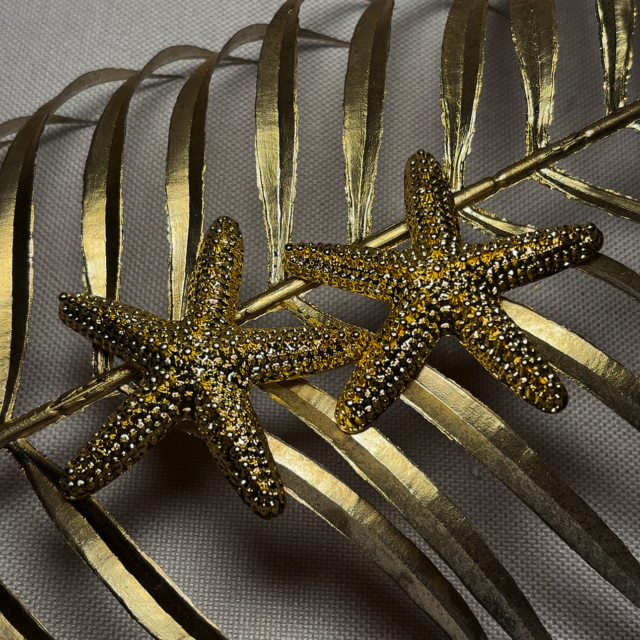 Starfish Earrings